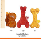 Nylabone Power Chew Lobster, Cheese, & Broccoli Dog Chew Toys, Small | 3 count, filet mignon, cheese, and bacon flavor, variety of shapes, durable chew toys, long lasting, for dogs up to 25 lbs