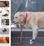 SCENEREAL Anti Slip Dog Sock to Prevent Licking Paws for Hardwood Floors, Boots & Paw Protector Shoes for Hot/Cold Pavement with Grippers, Double Sides Grips for Small Medium Large Senior Dogs