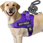 AUROTH Dog Harness and Leash Set, Soft Padded Service Dog Vest with 5.25FT Dog Leash, No Choke, Easy On Pet Vest, Adjustable Reflective No Pull Dog Harness for Large Dogs, Easy Walking and Training