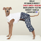 D Doggy Star Italian Greyhound Clothes Cargo Pants Onesie Outfit Whippet for Dog Coat (M,DNM Star Cargo)