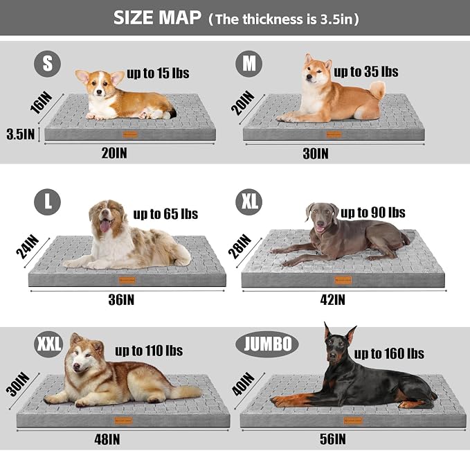 Patas Lague Orthopedic Large Dog Bed Washable Pet Crate Mat 36''X24'' Grey | Egg-Crate Foam Dog Couch For Large Sized Dogs, Waterproof Removable Cover, Soft Pet Bed With Nonskid Bottom