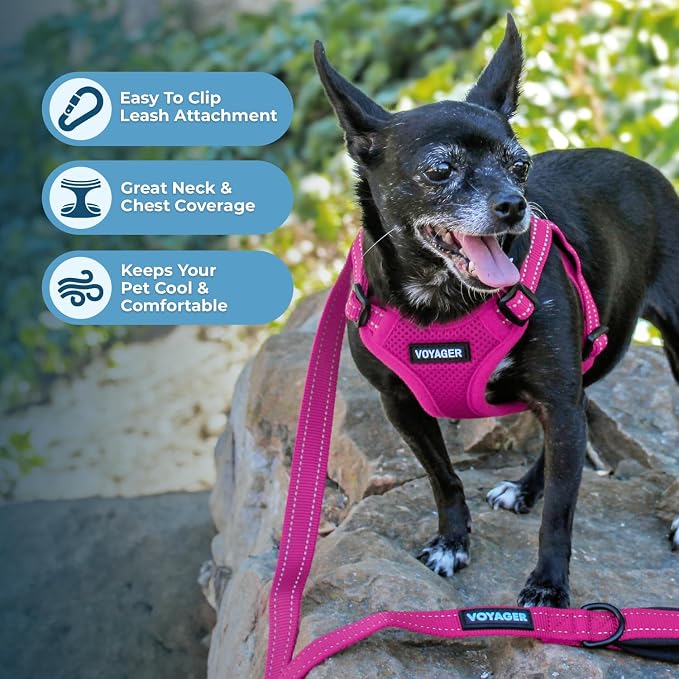 Voyager Step-in Flex Adjustable Dog Harness - Fuchsia, X-Large | 23 - 28" in Chest, Fully Adjustable, Reflective Bands, All Weather Breathable Air Mesh, Lightweight, Fast Drying