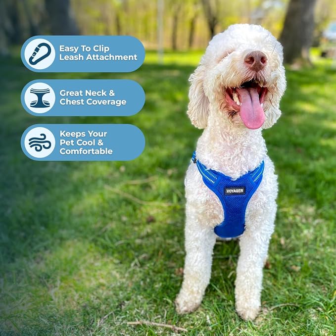 Voyager Step-in Flex Adjustable Dog Harness - Royal Blue, Small | 15 - 18" in Chest, Fully Adjustable, Reflective Bands, All Weather Breathable Air Mesh, Lightweight, Fast Drying
