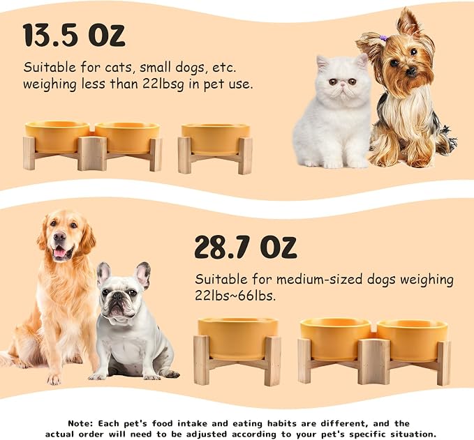 SPUNKYJUNKY 15° Slanted Ceramic Dog and Cat Bowl with Wooden Stand, Tilted Bulldog Food and Water Bowl No Slip Non-Spill for Cats Medium Dogs Big Face Pets 13.5 OZ (1.7 Cups, Yellow × 2)