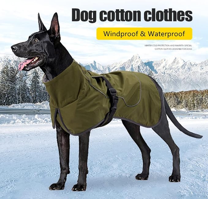 Barkworthies Dog Raincoat - Waterproof Winter Jacket with Velvet Inner, Reflective Strip, Black XS