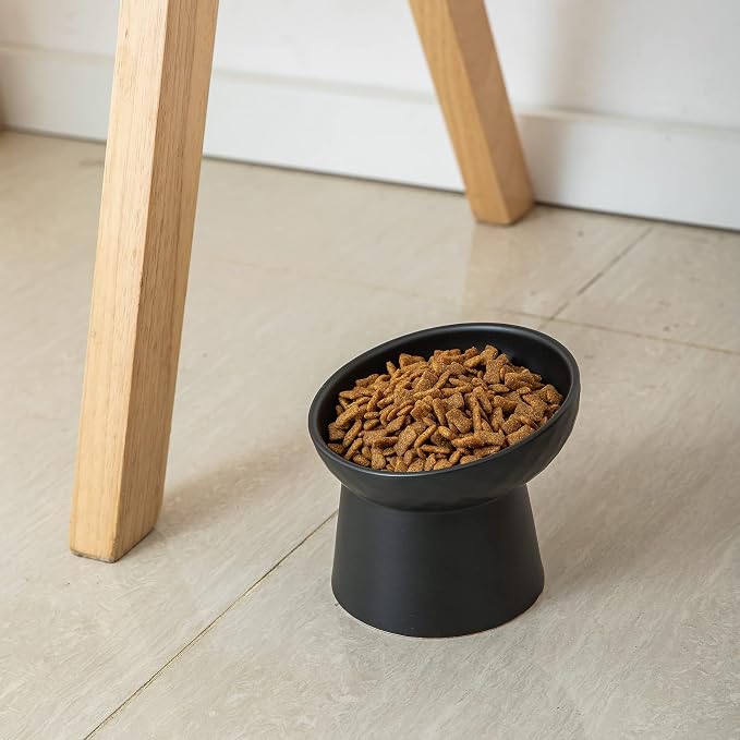 Elevated Cat Bowls, 15° Tilted Ceramic Raised Cat Food and Water Bowl Set, Whisker-Friendly Porcelain Pet Feeder Dishes for Indoor Cats and Small Dogs,Black,5.2 Inch,2 Pack