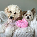 Haute Diggity Dog Chewy Vuiton Handbag Plush Squeaky Dog Toy, Soft Durable Designer-Inspired Stuffed Puppy Chew Toys for Small & Medium Dogs, Machine-Washable (Pink Checker) Small