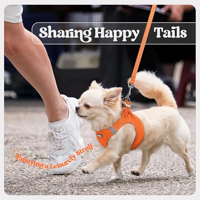 rabbitgoo Dog Harness Medium Sized and Leash Set, Step-in Puppy Pet Vest | Light, Soft, Breathable Air Mesh, Easy on and Remove with Hook & Loop, Secure Reflective for Walking, Orange XXL