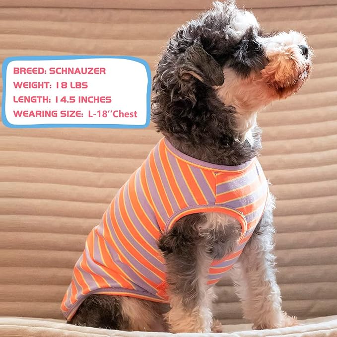 KYEESE 2Pack Dog Shirt, Soft Striped Dogs T Shirts, Lightweight Pet Tank Top, Sleeveless Dog Shirt for Medium Dogs, Stretchy Comfortable Pet Vest, Purple+Orange Striped, 2XL