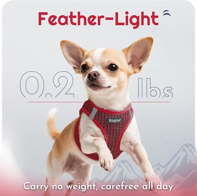 Eagloo Small Dog Harness and Leash Set, Step in Small Sized Puppy Pet Vest | Light, Soft, Breathable Air Mesh, Easy on and off with Hook & Loop, Reflective for Safe Walking, Red, S