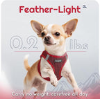 Eagloo Small Dog Harness and Leash Set, Step in Small Sized Puppy Pet Vest | Light, Soft, Breathable Air Mesh, Easy on and off with Hook & Loop, Reflective for Safe Walking, Red, S