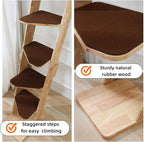 SHENGOCASE Modern 70" Tall Natural Wood 6 Level Leaning Cat Climbing Ladder Tree Tower with Large Perch Platform for Wall Window, Solid Wood Furniture for Multiple Cats