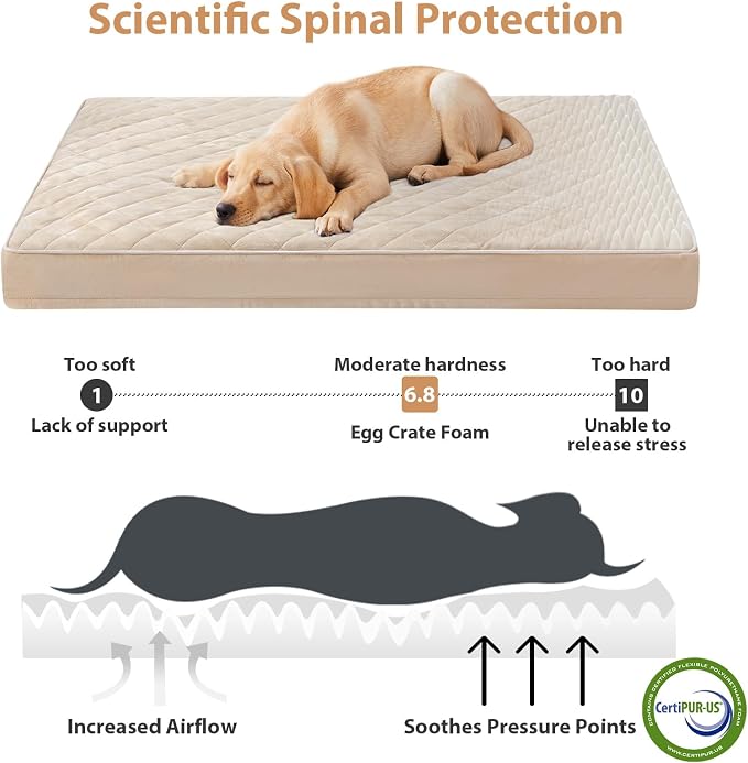WNPETHOME Orthopedic Big Dog Beds Large Sized Dog, Waterproof Extra Large Dogs Bed with Removable Washable Cover, Multi-Needle Quilting Dogs Crate Bed