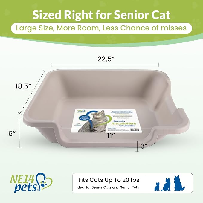 KittyGoHere 2.0 Easy Entry Cat Litter Box with Scoop, Large Misty Gray | Large Open - Top Low Entrance Litter Pan With Higher Sides & Durable Long-handle Jumbo Scoop for Easy Cleaning, Made in USA