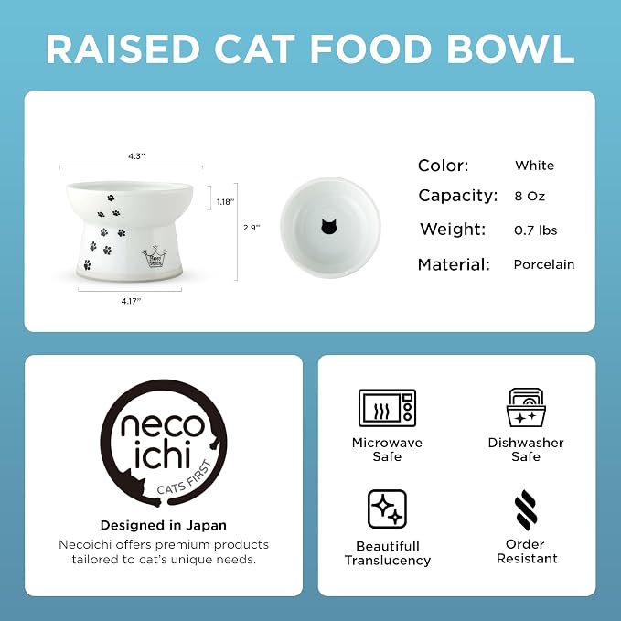 Necoichi Ceramic Elevated Cat Food Bowl, Whisker-Friendly (Cats, Regular)