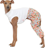 D Doggy Star Italian Greyhound Clothes Mombbe Onesie Outfit Whippet for Dog Coat (2XL,Mombbe Orange)