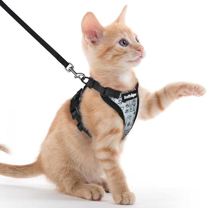 rabbitgoo Cat Harness and Leash Set, Escape Proof Vest, Doodle Gray | Soft Breathable Mesh, Easy Adjustable Fit, Snap Buckles, Sturdy Clip, Reflective Strips, for Kittens & Small Cats Walks, Xxs