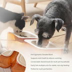 Cool Kids Elevated Cat Bowls – Raised Slanted Eco Fiber Disposable Set | Food-Grade Degradable Fiber, Cat Bowls for Small Dogs, Disposable No-Clean, Fits Camping & Travel, Multi-Pet & Stray Feeding