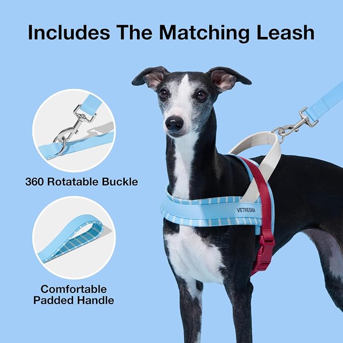 VETRESKA Dog Harness Small Sized Dog, Adjustable No Choke Puppy Harness XS | No Pull, Easy Control Pet Harness Vest for Dogs, Cat, Kitten, Dog Harness with Anti-Tangle Dog Leash Set (Misty Melo)