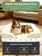 Spotted Play Orthopedic Dog Bed with Sides - Sofa Beds for Large Dogs, Supportive Foam Pet Couch Bed with Washable Removable Cover, Waterproof Lining and Non-Slip Bottom, Ivory - L-Plus