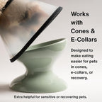 Raised Cat Food Bowl, Tilted Bowl for Cats, Dogs, 12 oz, Seafoam