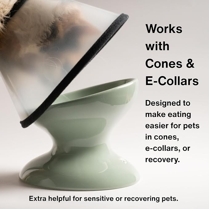 Raised Cat Food Bowl, Tilted Bowl for Cats, Dogs, 12 oz, Seafoam