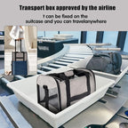Small Animals Cat Carrying Case Pet Carrier Airline Approved, Protable and Breathable Pet Travel Carrier Removable Fleece Pad Collapsible Cat Carrier Dog Carrier Small Cats Dogs(15 * 10 * 10)
