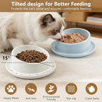 Ant Proof No Spill Ceramic Cat Food Bowls,15° Tilted Neck Support,Non-Slip Base,Easy Clean Pet Water Dishes for Cat and Small Dog Indoor or Outdoor Use(1 Pack)