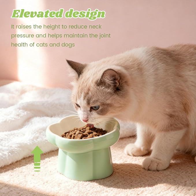 Ceramic Slow Feeder Cat Bowl with 2 Cat Food Scoop, Choke-Proof & Anti-Tip for Cats & Small Dogs, for Dry Wet Food Easy to Clean