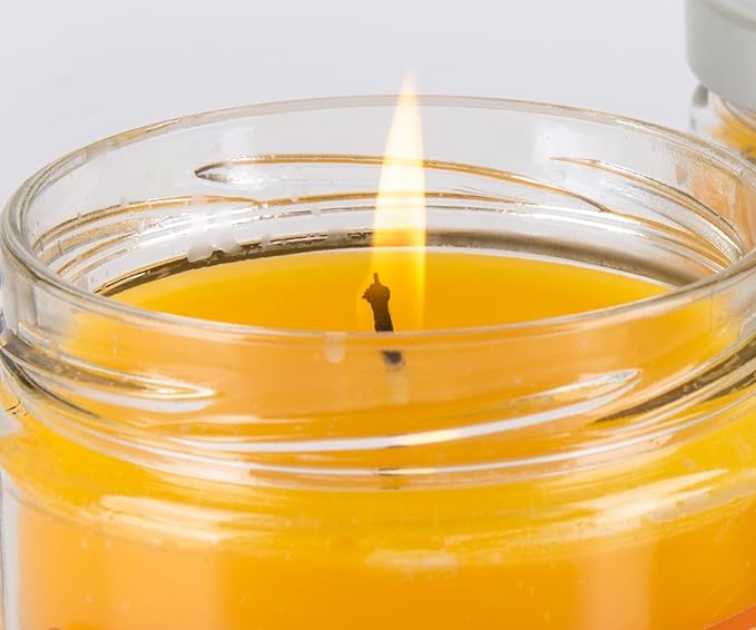 Pet Odor Specialty Pet Products Exterminator, 13 Ounce Orange Lemon Splash Jar Candle and 13 Ounce Clothesline Fresh Jar Candle