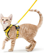 rabbitgoo Cat Harness and Leash Set, Escape Proof Vest, Yellow | Soft Breathable Mesh, Easy Adjustable Fit, Snap Buckles, Sturdy Clip, Reflective Strips, for Small & Average Cats Walks, Xs