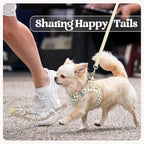 rabbitgoo Dog Harness Small Sized and Leash Set, Step-in Puppy Pet Vest | Light, Soft, Breathable Air Mesh, Easy on and Remove with Hook & Loop, Secure Reflective for Walking, Beige Check S