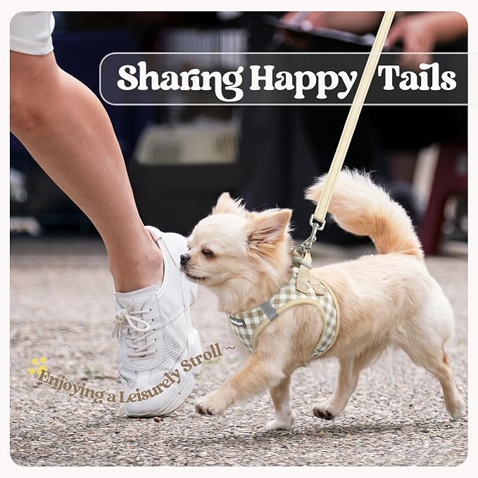 rabbitgoo Dog Harness Small Sized and Leash Set, Step-in Puppy Pet Vest | Light, Soft, Breathable Air Mesh, Easy on and Remove with Hook & Loop, Secure Reflective for Walking, Beige Check S