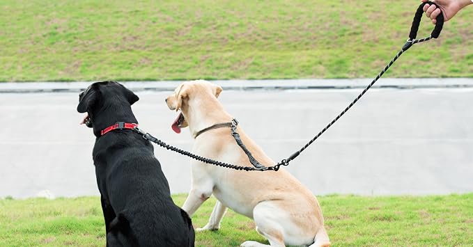 iYoShop Dual Dog Leash - 360° Swivel, No Tangle Walking Leash with Shock Absorbing Bungee for Two Dogs (Medium, 8-35 lbs, Black)