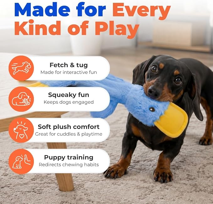 Best Pet Supplies Interactive Squeaky Dog Chew Toy, Ideal Dog Toys for Chewers, Small, Medium & Large Dogs, and Fetch Lovers - Crinkle Duck (Blue), Large
