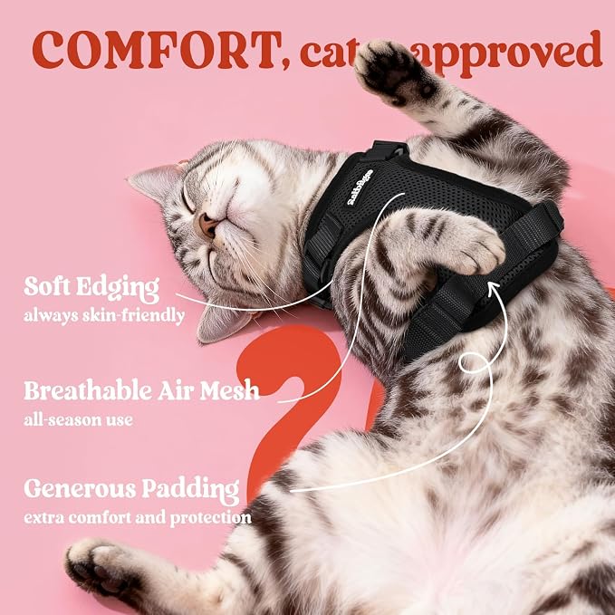 rabbitgoo Cat Harness and Leash Set, Escape Proof Vest, Black | Soft Breathable Mesh, Easy Adjustable Fit, Snap Buckles, Sturdy Clip, Reflective Strips, for Average Cats Walks, S