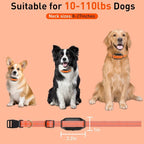 No Shock Dog Training Collar with Remote 3300ft Range | Vibrating Dog Collar, Vibration Collar for Small Medium Large Dogs, 9 Style Tones and Vibration Collar