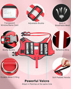 Service Dog Vest Harness and Leash Set+10 Patches Red XS | Adjustable Reflective Do Not Pet Emotional Support Dog Vest with 2 Soft Padded Handle,MOLLE,for Everyday Training Hiking