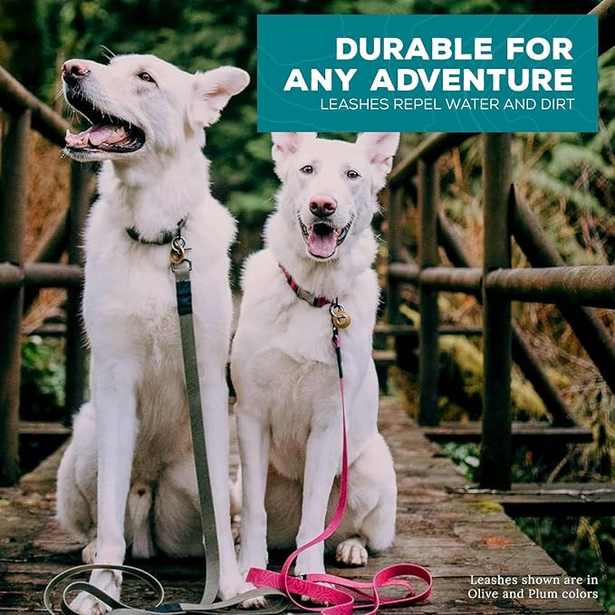 Wilderdog Waterproof Dog Leash - Repels Water & Dirt - Seafoam
