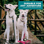 Wilderdog Waterproof Dog Leash - Repels Water & Dirt - Pacific Blue