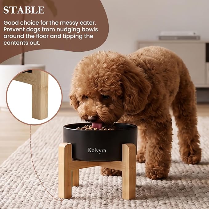 6" Elevated Ceramic Dog Bowl, Anti-Vomiting 23oz for Small Dogs | Premium Food-safe Ceramic with Anti-slip Wood Stand,Dishwasher Safe,Ergonomic Height Relieves Neck Strain,Black