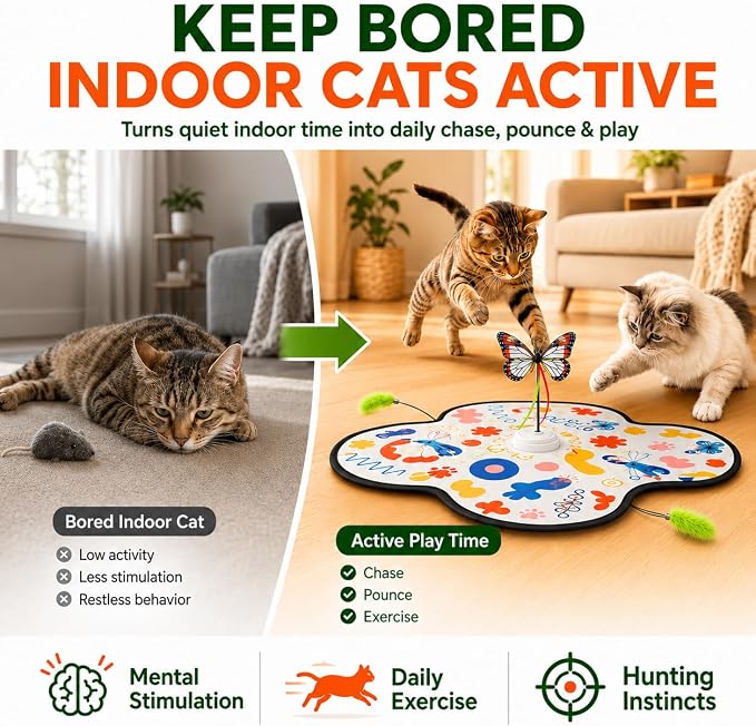Pet's Var 3-in-1 Interactive Cat Toy for Indoor Cats, Motion Activated Automatic Cat Toy with Moving Feather, Fluttering Butterfly, Mouse Sound, Rechargeable with Bonus Teaser