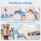 rabbitgoo Dog Harness Small Sized and Leash Set, Step-in Puppy Pet Vest | Light, Soft, Breathable Air Mesh, Easy on and Remove with Hook & Loop, Secure Reflective for Walking, Blue XXXS