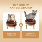Havniva Elevated Cat Bowls, Ceramic Cat Bowl with Bamboo Stand Wide Opening | 5.7” Raised Cat Food Bowls, Whisker Friendly Cat Dish, Anti-Slip Cat Water Bowls, Shallow Cat Bowls, Cat Food & Water Bowl