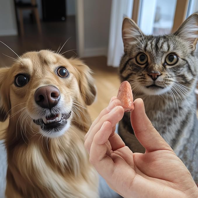 Jungle Calling Freeze Dried Chicken Hearts for Dogs & Cats, 7.76 oz | Single Ingredient, High Protein Organ Meat, Bite-Sized Chicken Heart Halves, Easy to Chew & Digest Training Treats & Toppers