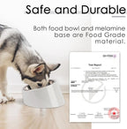 SuperDesign Mess Free 15° Slanted Bowl for Dogs and Cats, Tilted Angle Bulldog Bowl Dog Feeder, Non-Skid & Non-Spill, Easier to Reach Food L/2 Cup Gray