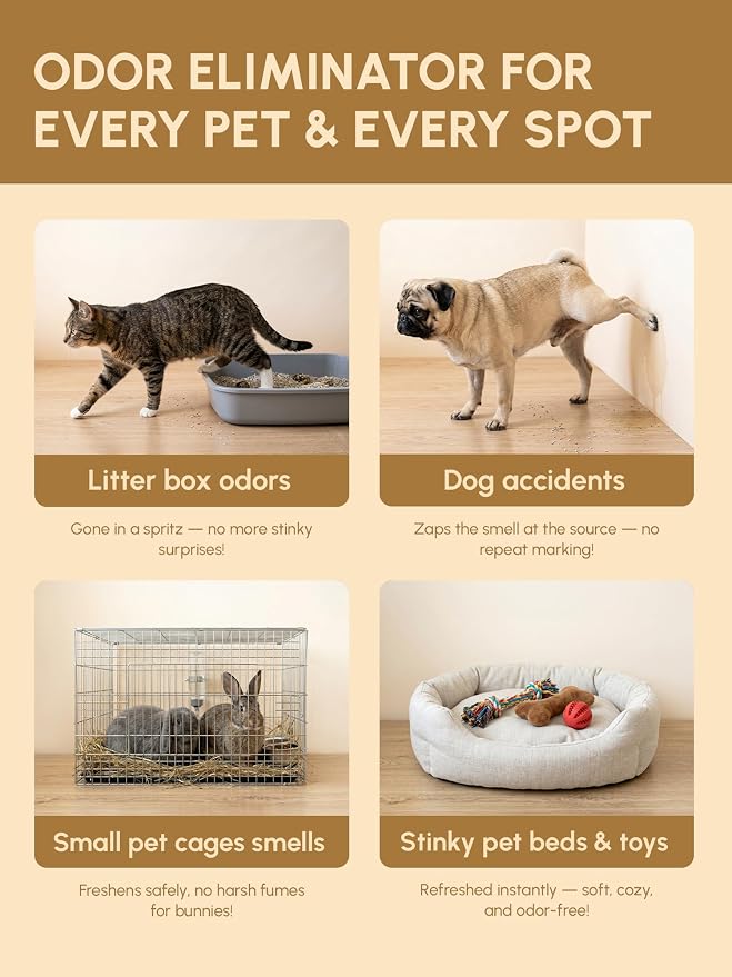 Pet Odor Eliminator Spray & 10X Concentrate Kit - Makes 110oz Total - Professional Bio-Enzyme Deodorizer for Dog Cat Urine, Litter Box, Rabbit Cages - Orally Non-Toxic - Clary Sage