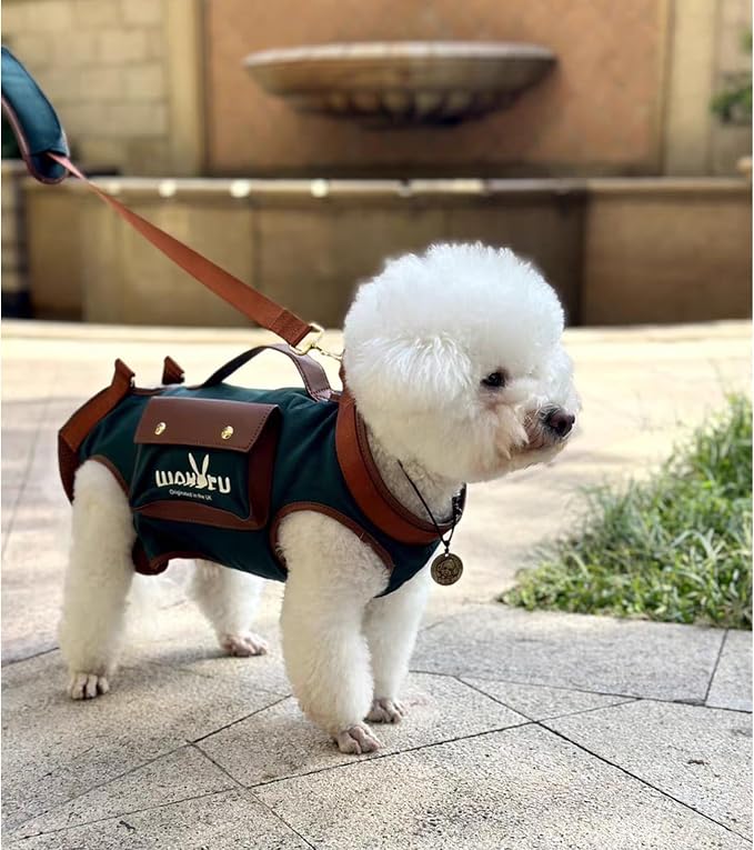 Wakytu Dog Lift Harness Dog Carrier Sling for Small Dogs & Cats,S | stylish puppy sling carrier with handle & pocket,adjustable leash,walking & travel