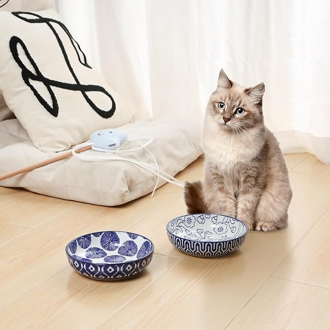 Selamica Ceramic Cat Food Bowl Set of 4, 5.6 Inch Wide Shallow Cat Bowls/Dishes for Food and Water, Vintage Blue