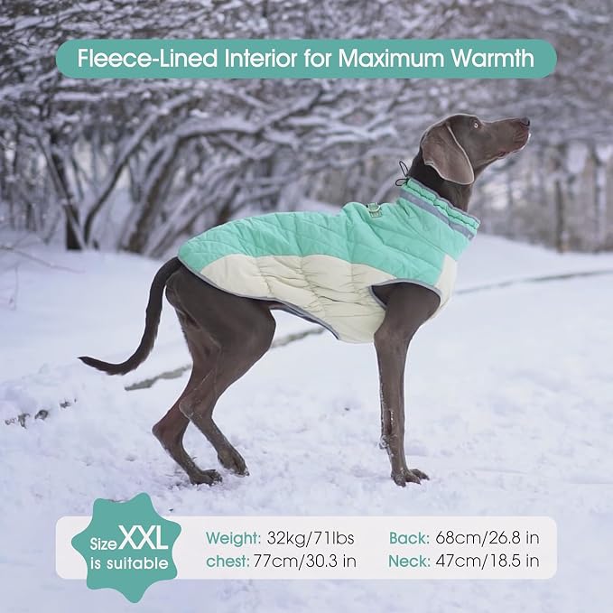 FUAMEY Dog Coat for Small Dogs, Fleece Dog Winter Jacket with Harness | Puppy Cold Weather Coats Reflective Pet Puffer Vest with Zipper Water-Resistant Warm Dogs Snowsuit Windproof Mint Green XS
